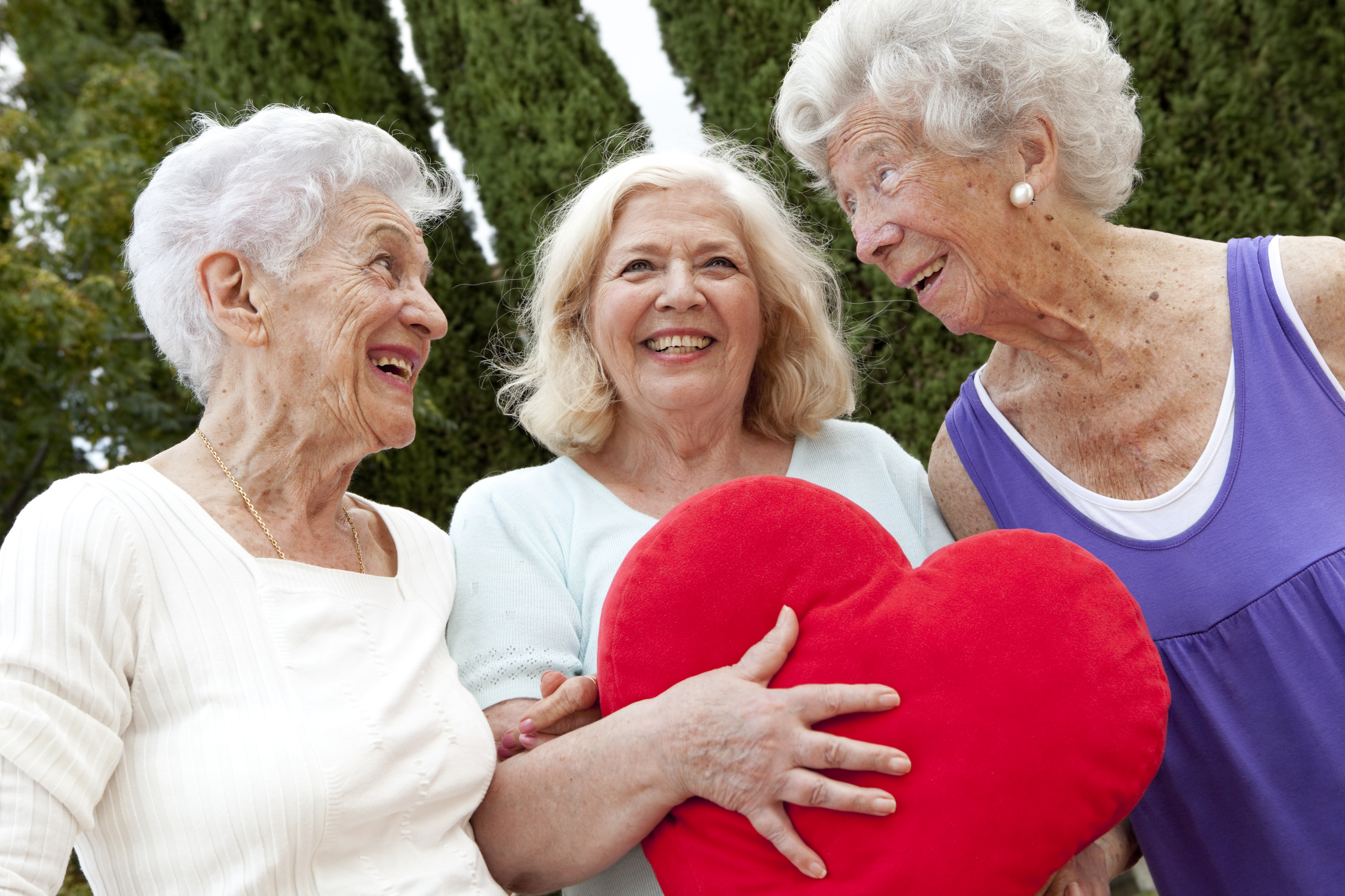 heart attack recovery for seniors - in home care belleville il